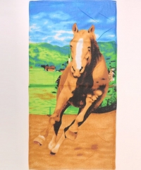 Рушник В-7,8 31